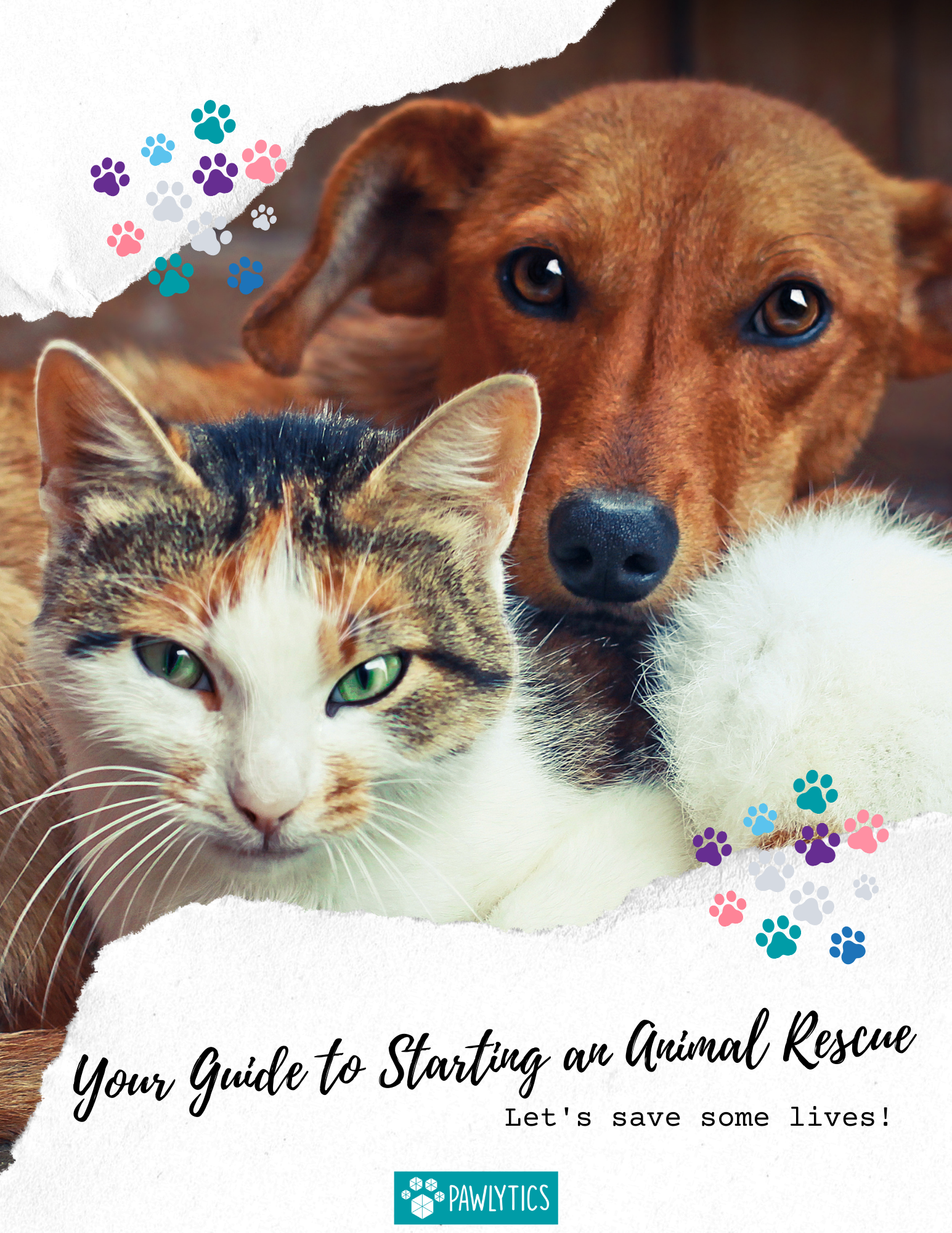How to Start an Animal Rescue