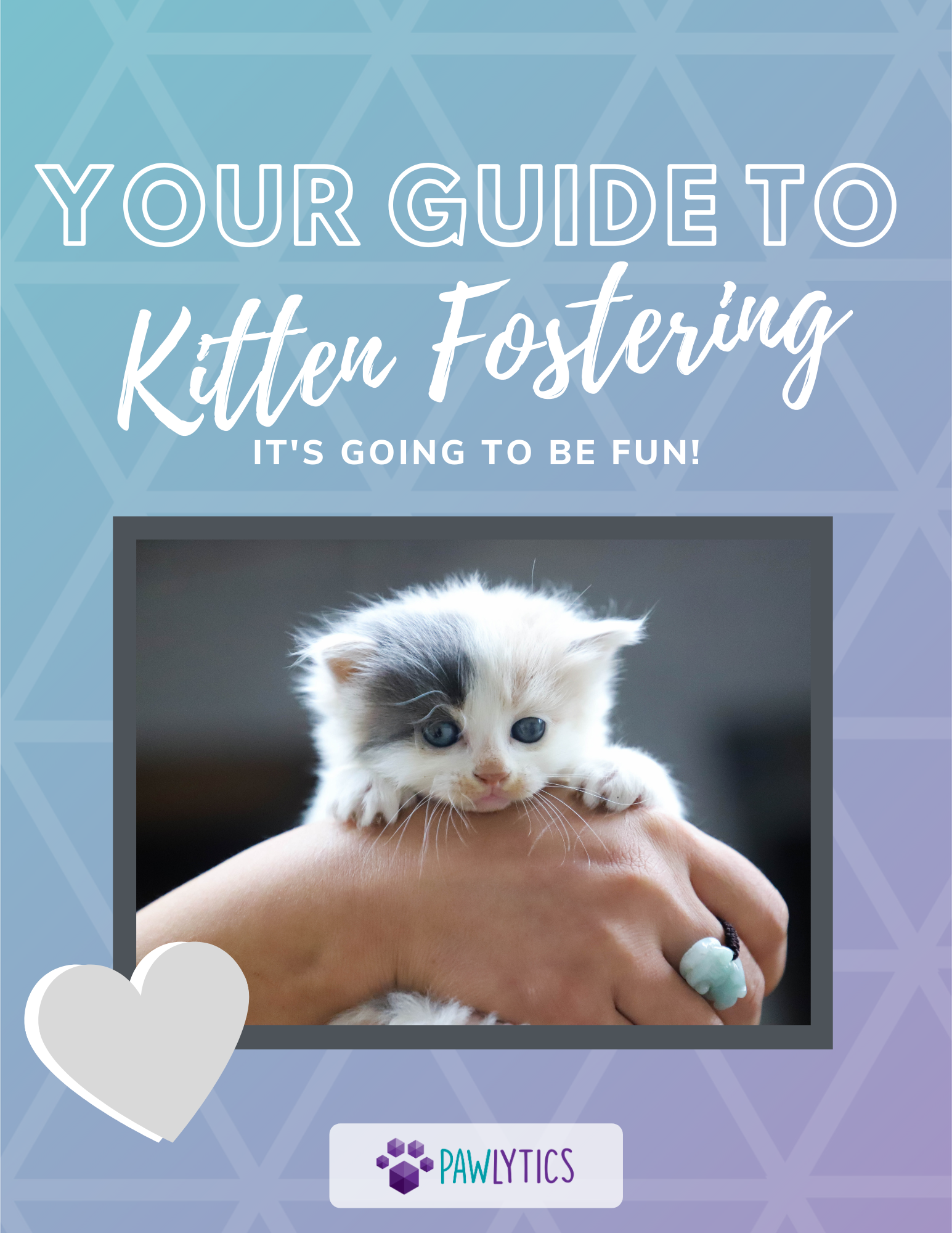Kitten Foster Guide Pawlytics